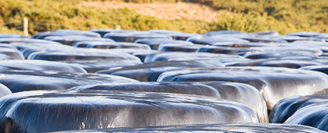 collecte-plastiques-agricoles