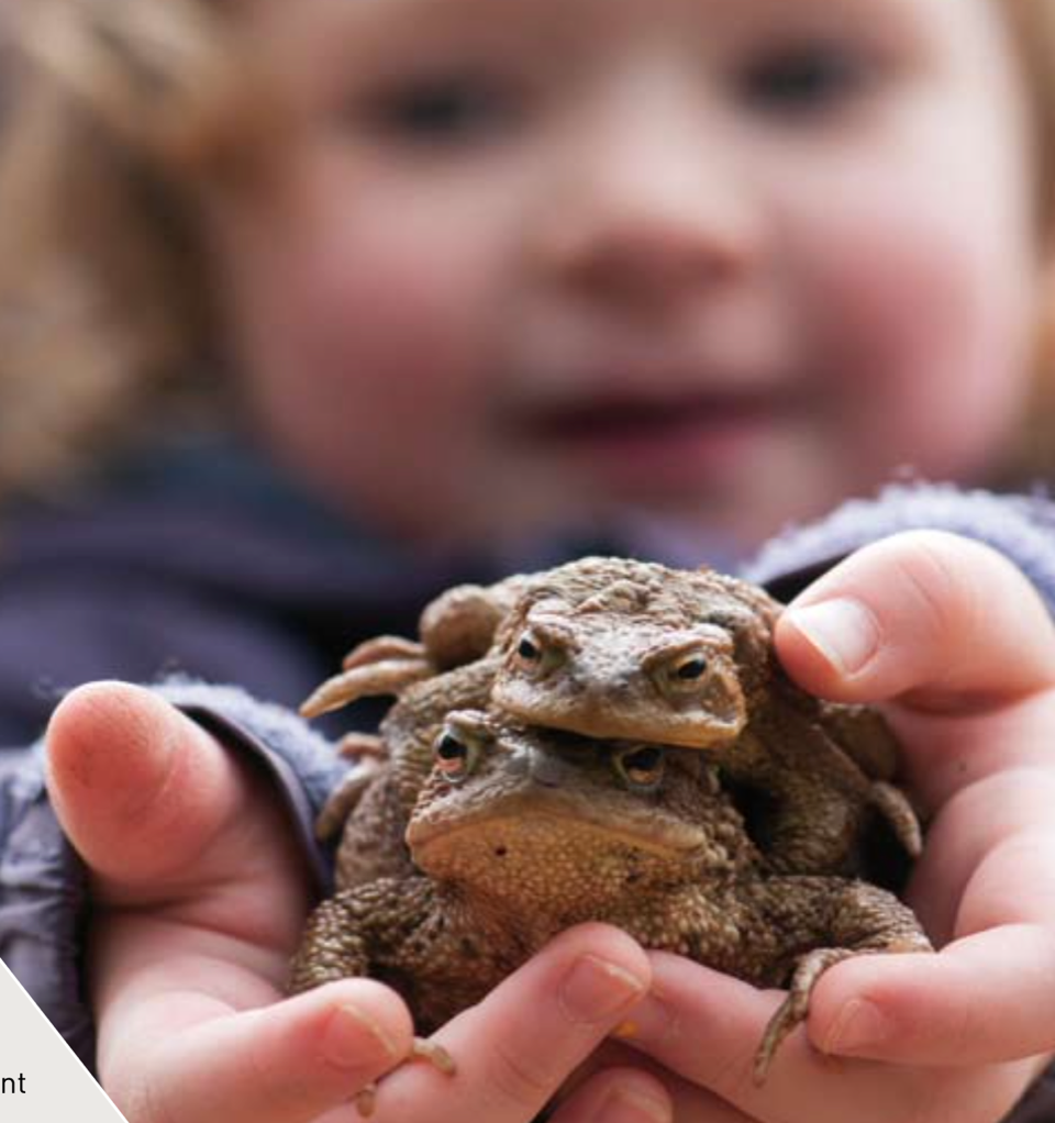Batraciens – enfants