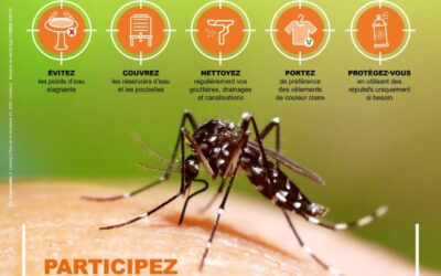 Moustique tigre : signalez leur présence