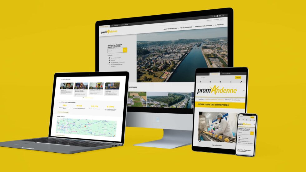 Mockup-site-web-promAndenne-980×551