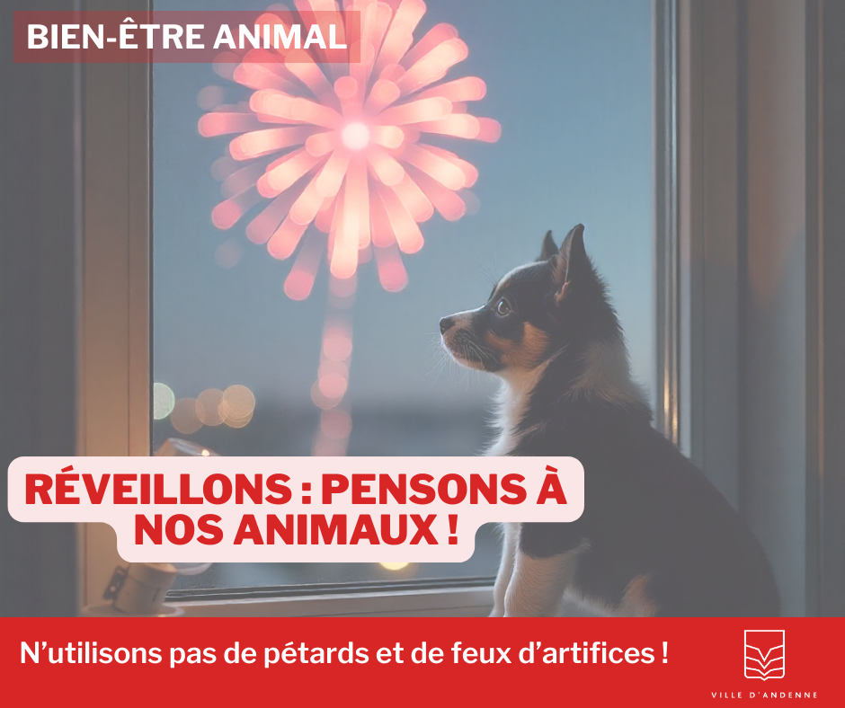 bien etre animal – reveillons (2)